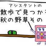 秋の野草